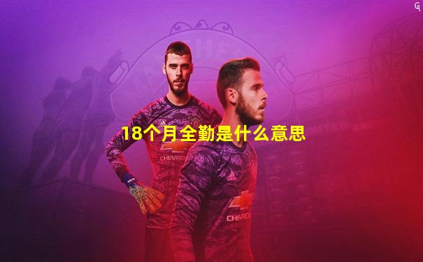 18个月全勤是什么意思