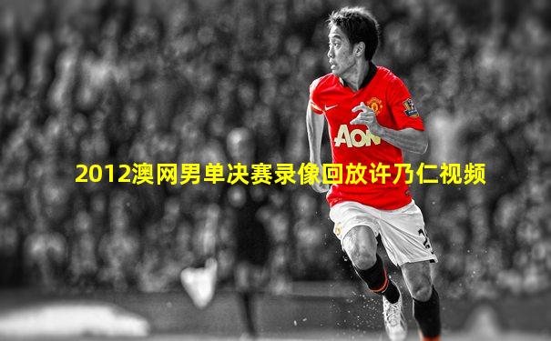 2012澳网男单决赛录像回放许乃仁视频