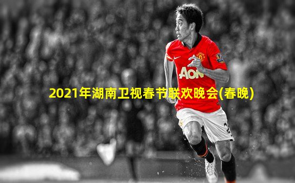 2021年湖南卫视春节联欢晚会(春晚)