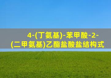 4-(丁氨基)-苯甲酸-2-(二甲氨基)乙酯盐酸盐结构式