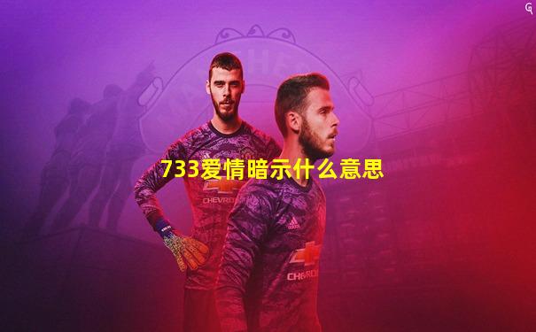 733爱情暗示什么意思