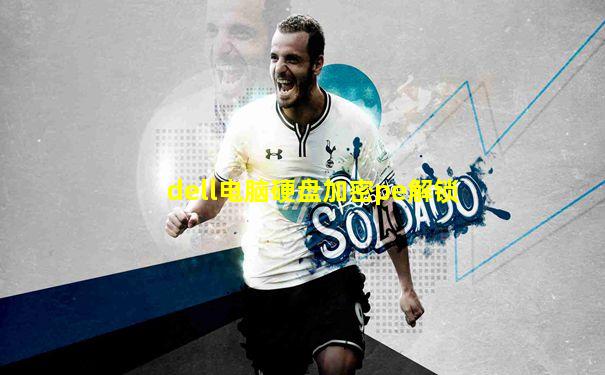 dell电脑硬盘加密pe解锁