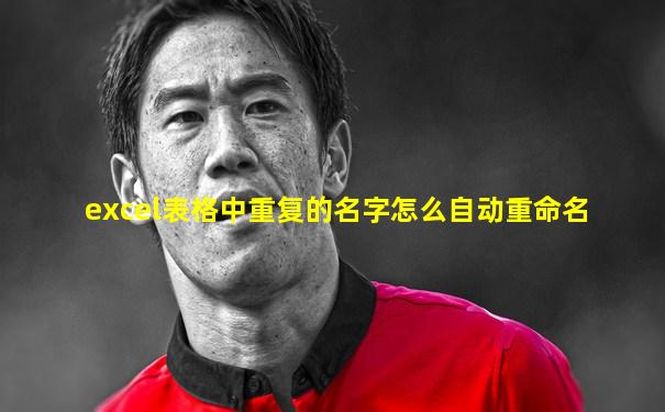 excel表格中重复的名字怎么自动重命名