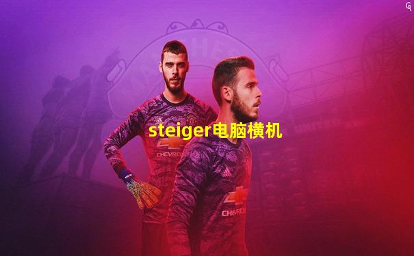 steiger电脑横机