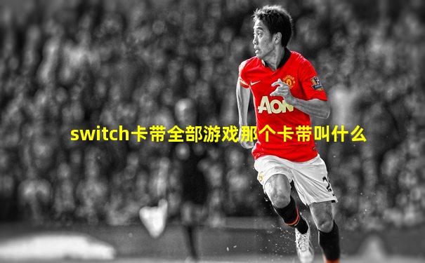 switch卡带全部游戏那个卡带叫什么