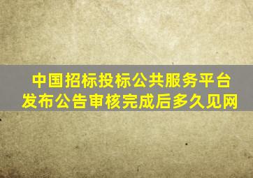 中国招标投标公共服务平台发布公告审核完成后多久见网