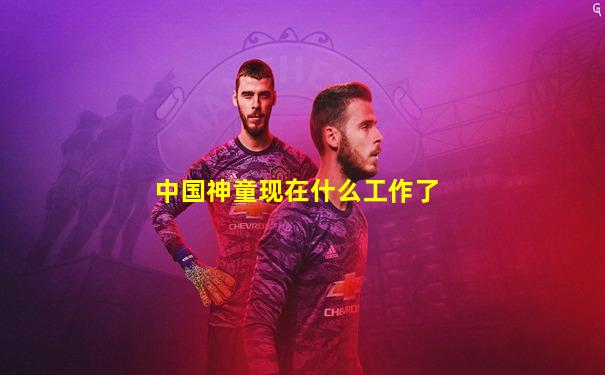 中国神童现在什么工作了