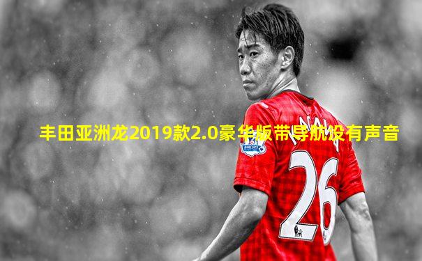 丰田亚洲龙2019款2.0豪华版带导航没有声音