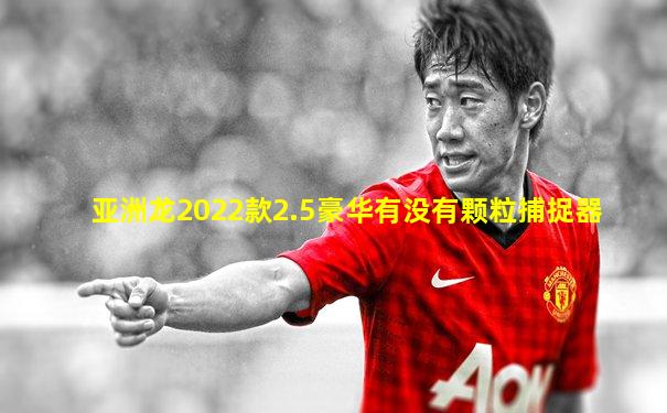 亚洲龙2022款2.5豪华有没有颗粒捕捉器