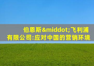 伯恩斯·飞利浦有限公司:应对中国的营销环境