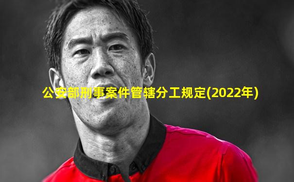 公安部刑事案件管辖分工规定(2022年)