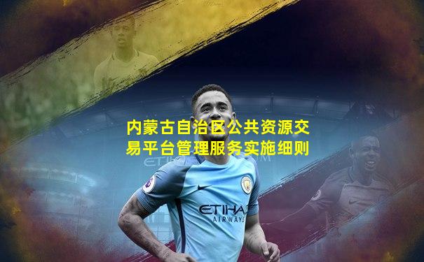 内蒙古自治区公共资源交易平台管理服务实施细则