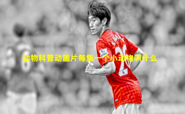 动物科普动画片每集一个小动物叫什么