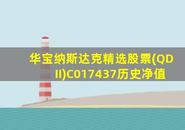 华宝纳斯达克精选股票(QDII)C017437历史净值