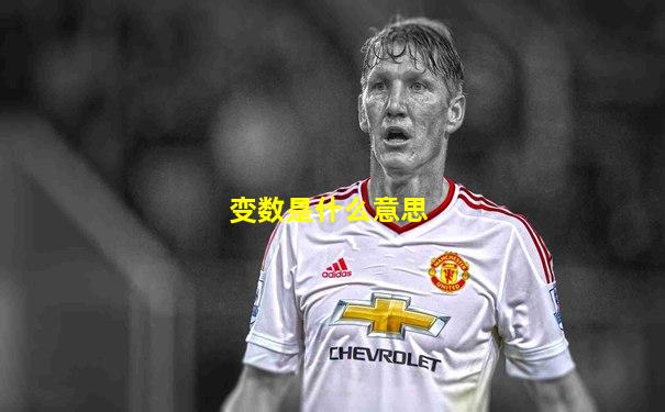 变数是什么意思