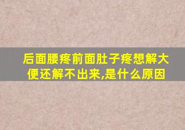 后面腰疼前面肚子疼想解大便还解不出来,是什么原因