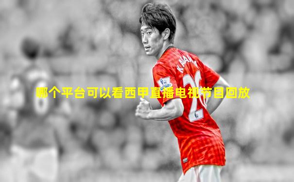 哪个平台可以看西甲直播电视节目回放