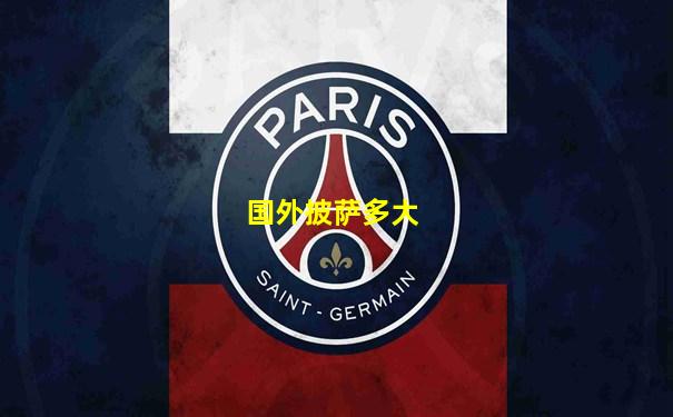 国外披萨多大