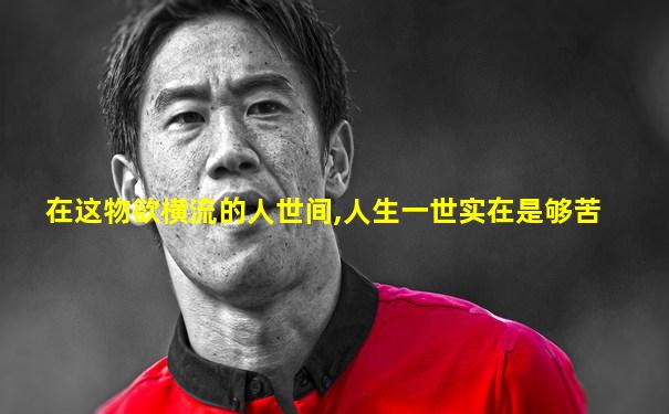 在这物欲横流的人世间,人生一世实在是够苦