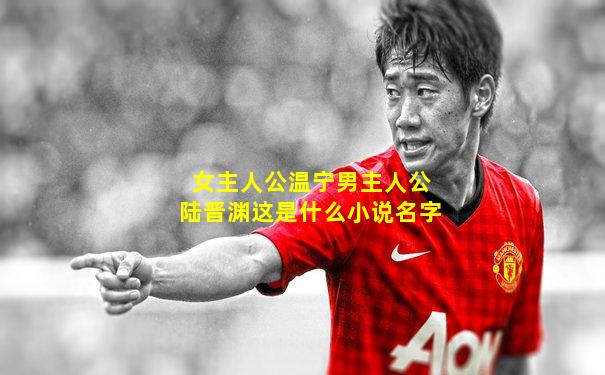 女主人公温宁男主人公陆晋渊这是什么小说名字