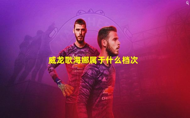 威龙歌海娜属于什么档次