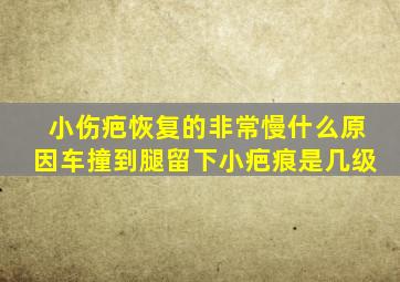 小伤疤恢复的非常慢什么原因车撞到腿留下小疤痕是几级