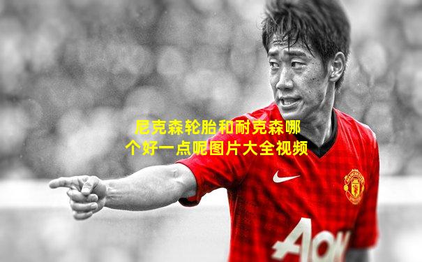 尼克森轮胎和耐克森哪个好一点呢图片大全视频