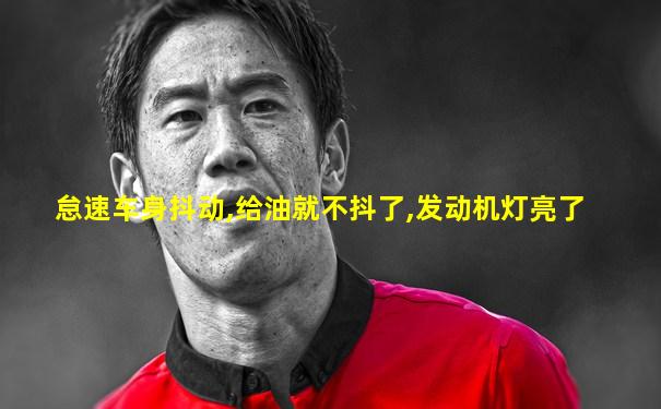 怠速车身抖动,给油就不抖了,发动机灯亮了