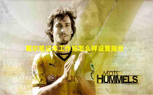 戴尔笔记本工作站怎么样设置指纹