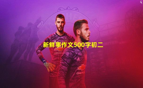 新鲜事作文500字初二
