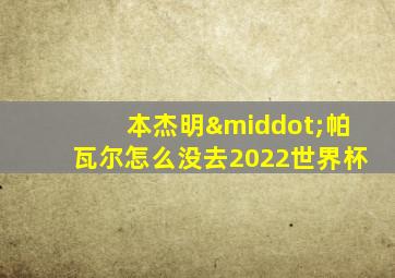 本杰明·帕瓦尔怎么没去2022世界杯