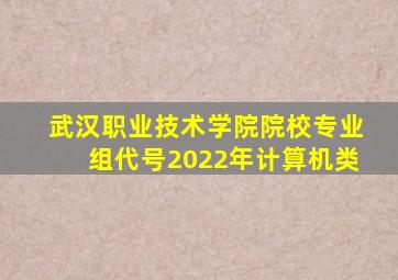 武汉职业技术学院院校专业组代号2022年计算机类