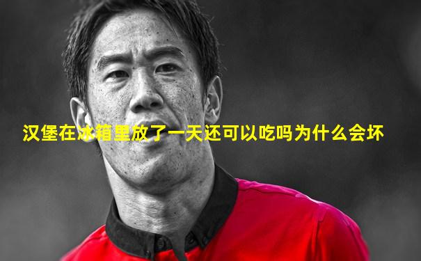 汉堡在冰箱里放了一天还可以吃吗为什么会坏