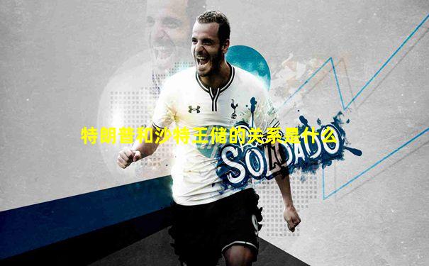 特朗普和沙特王储的关系是什么