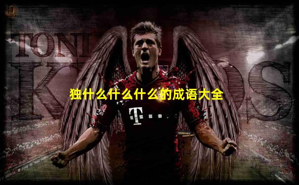 独什么什么什么的成语大全