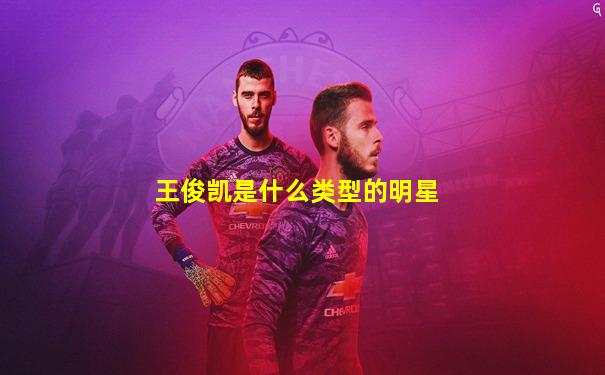 王俊凯是什么类型的明星