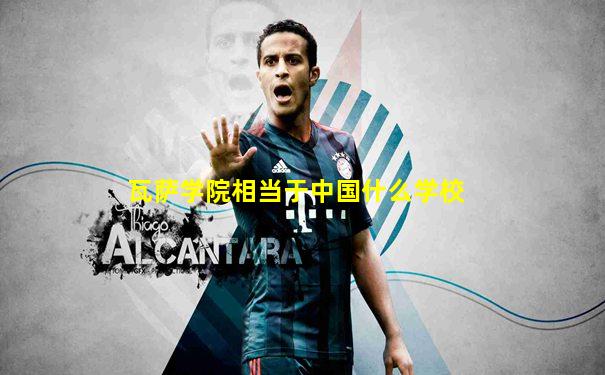 瓦萨学院相当于中国什么学校