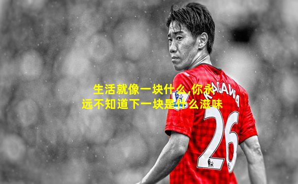 生活就像一块什么,你永远不知道下一块是什么滋味