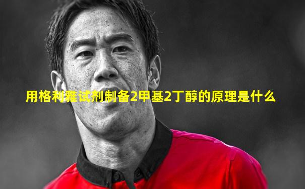 用格利雅试剂制备2甲基2丁醇的原理是什么