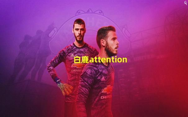 白鹿attention