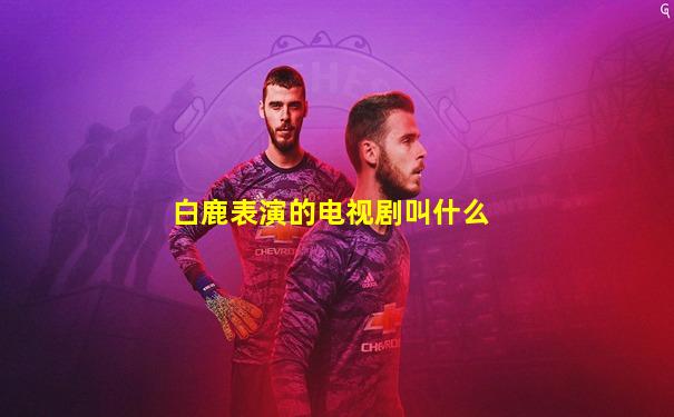 白鹿表演的电视剧叫什么