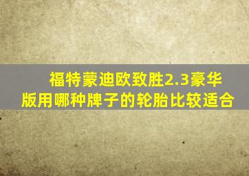 福特蒙迪欧致胜2.3豪华版用哪种牌子的轮胎比较适合