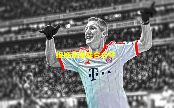 维维安福联合会杯