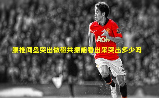 腰椎间盘突出做磁共振能看出来突出多少吗