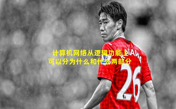 计算机网络从逻辑功能上可以分为什么和什么两部分
