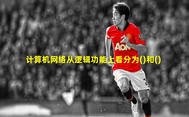 计算机网络从逻辑功能上看分为()和()
