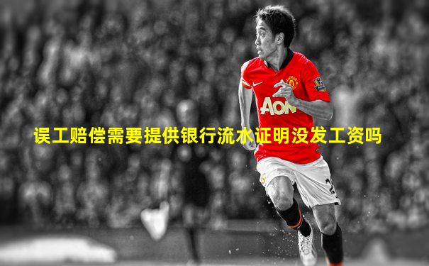 误工赔偿需要提供银行流水证明没发工资吗
