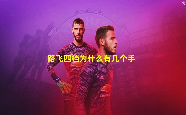 路飞四档为什么有几个手