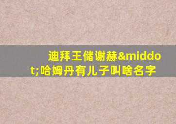 迪拜王储谢赫·哈姆丹有儿子叫啥名字