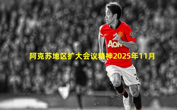 阿克苏地区扩大会议精神2025年11月